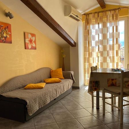 Apartments Tajana Novigrad Istria 外观 照片