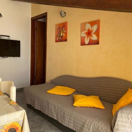 Apartments Tajana Novigrad Istria 外观 照片