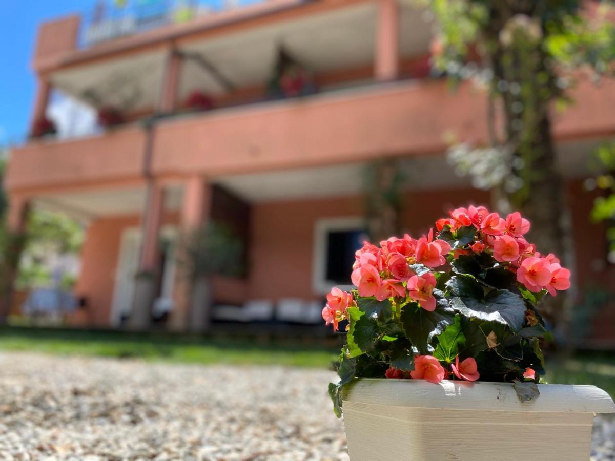 Apartments Tajana Novigrad Istria 外观 照片