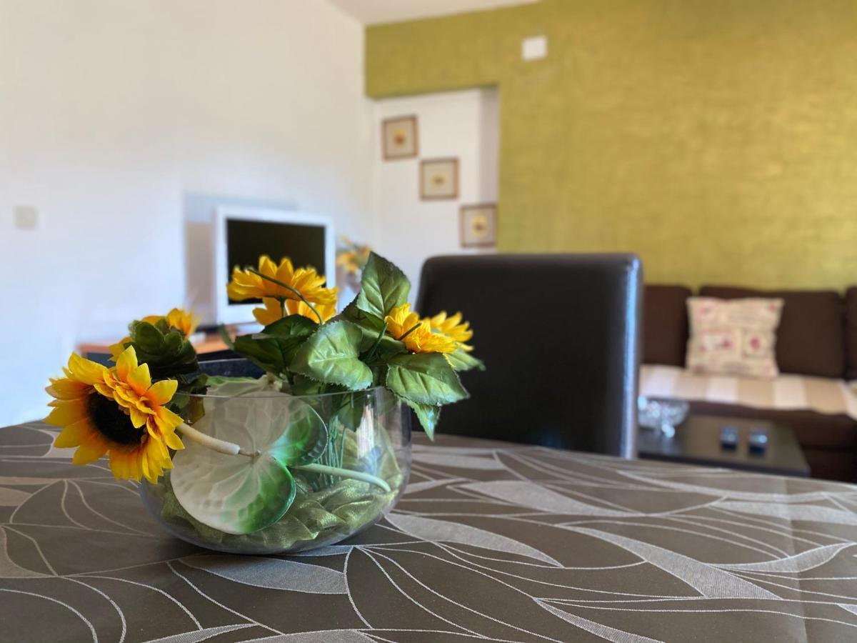 Apartments Tajana Novigrad Istria 外观 照片
