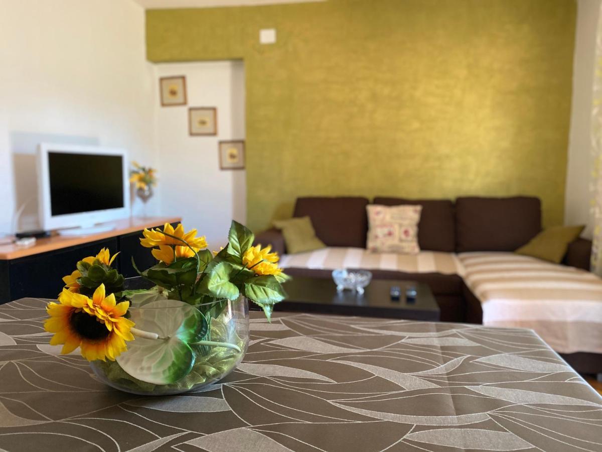 Apartments Tajana Novigrad Istria 外观 照片