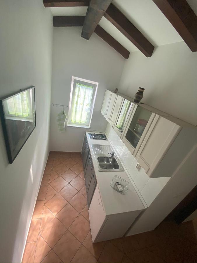 Apartments Tajana Novigrad Istria 外观 照片