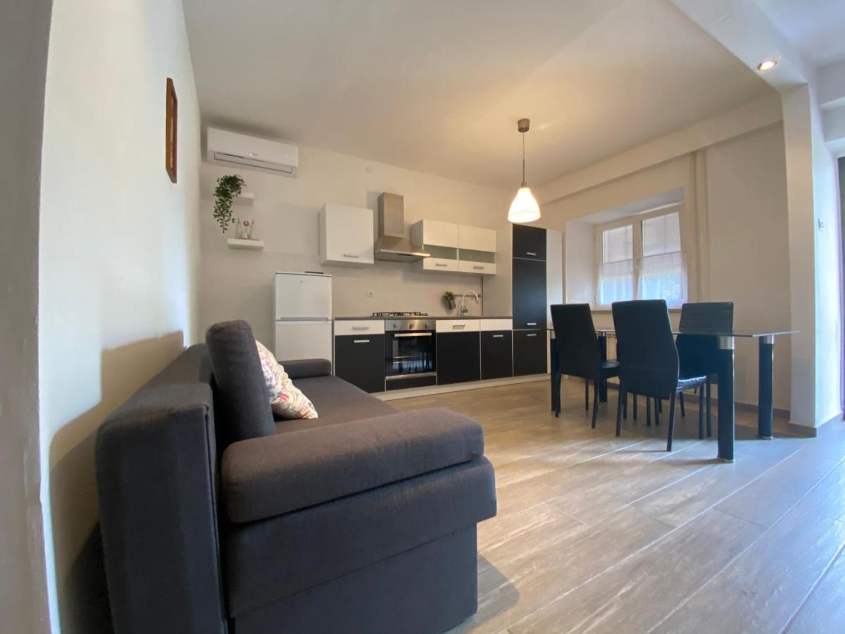 Apartments Tajana Novigrad Istria 外观 照片