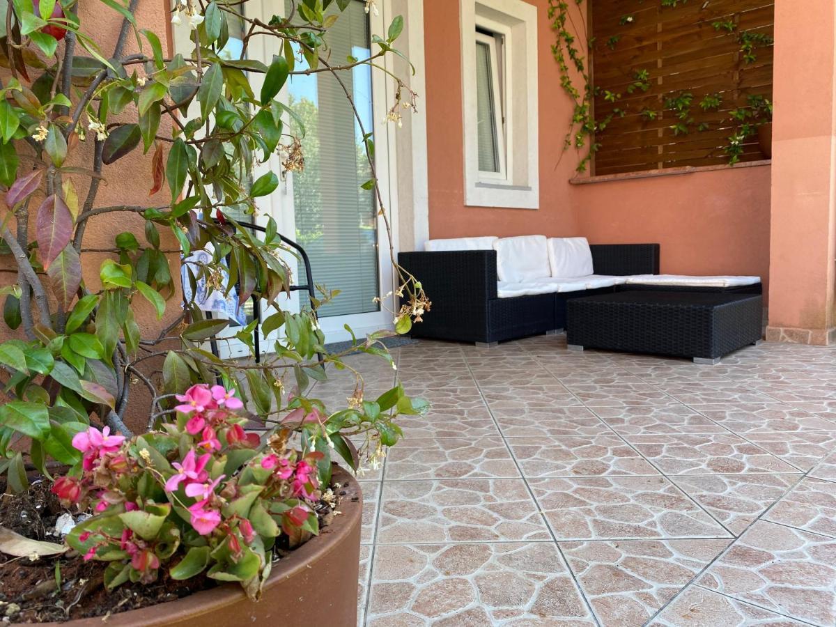Apartments Tajana Novigrad Istria 外观 照片