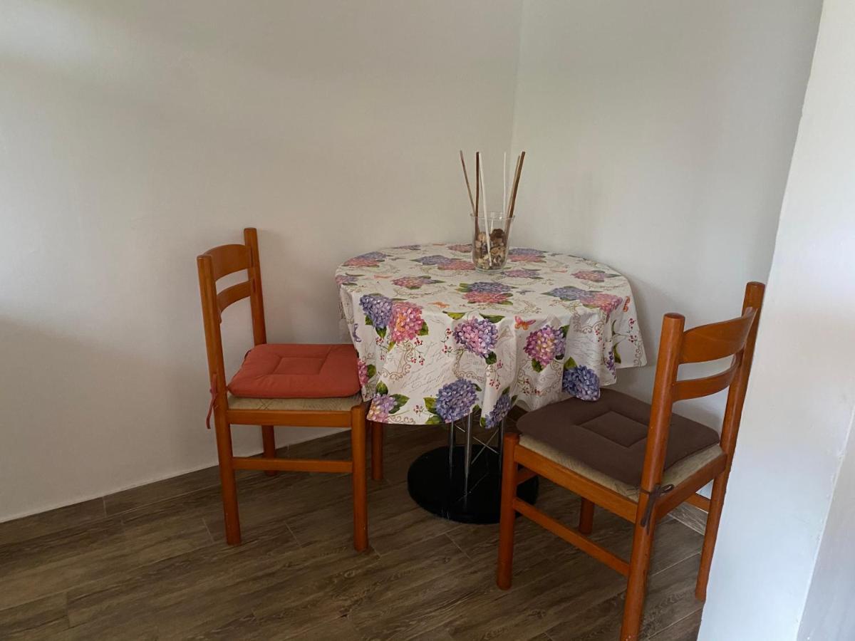 Apartments Tajana Novigrad Istria 外观 照片