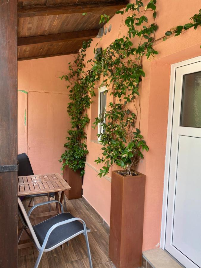 Apartments Tajana Novigrad Istria 外观 照片