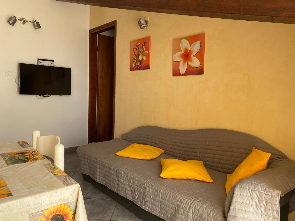 Apartments Tajana Novigrad Istria 外观 照片