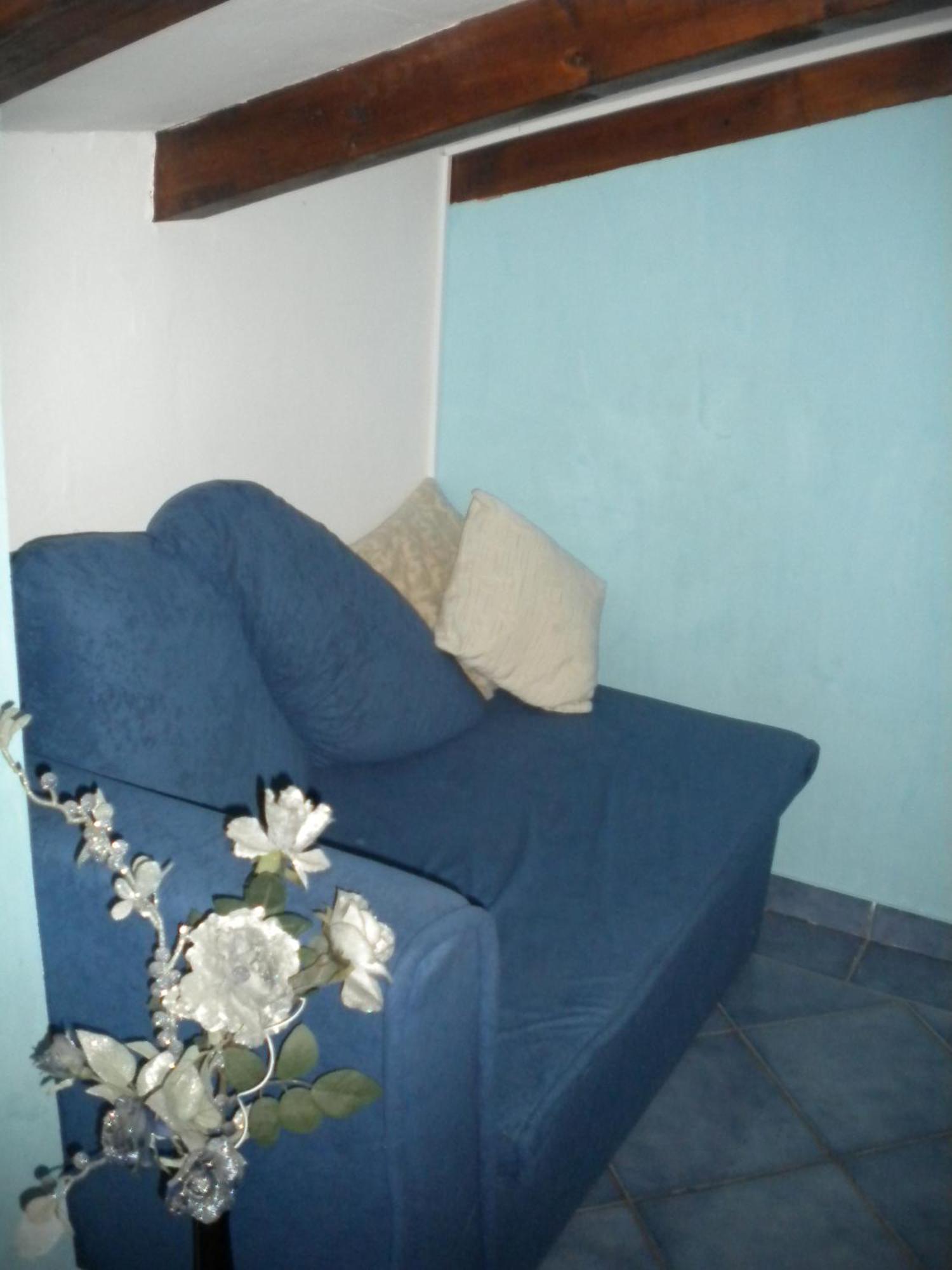 Apartments Tajana Novigrad Istria 客房 照片