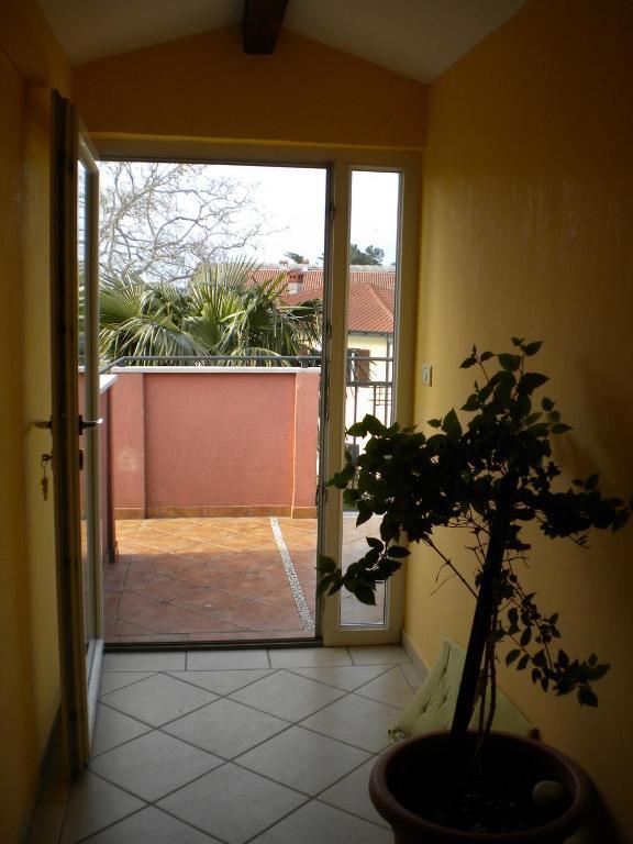Apartments Tajana Novigrad Istria 客房 照片