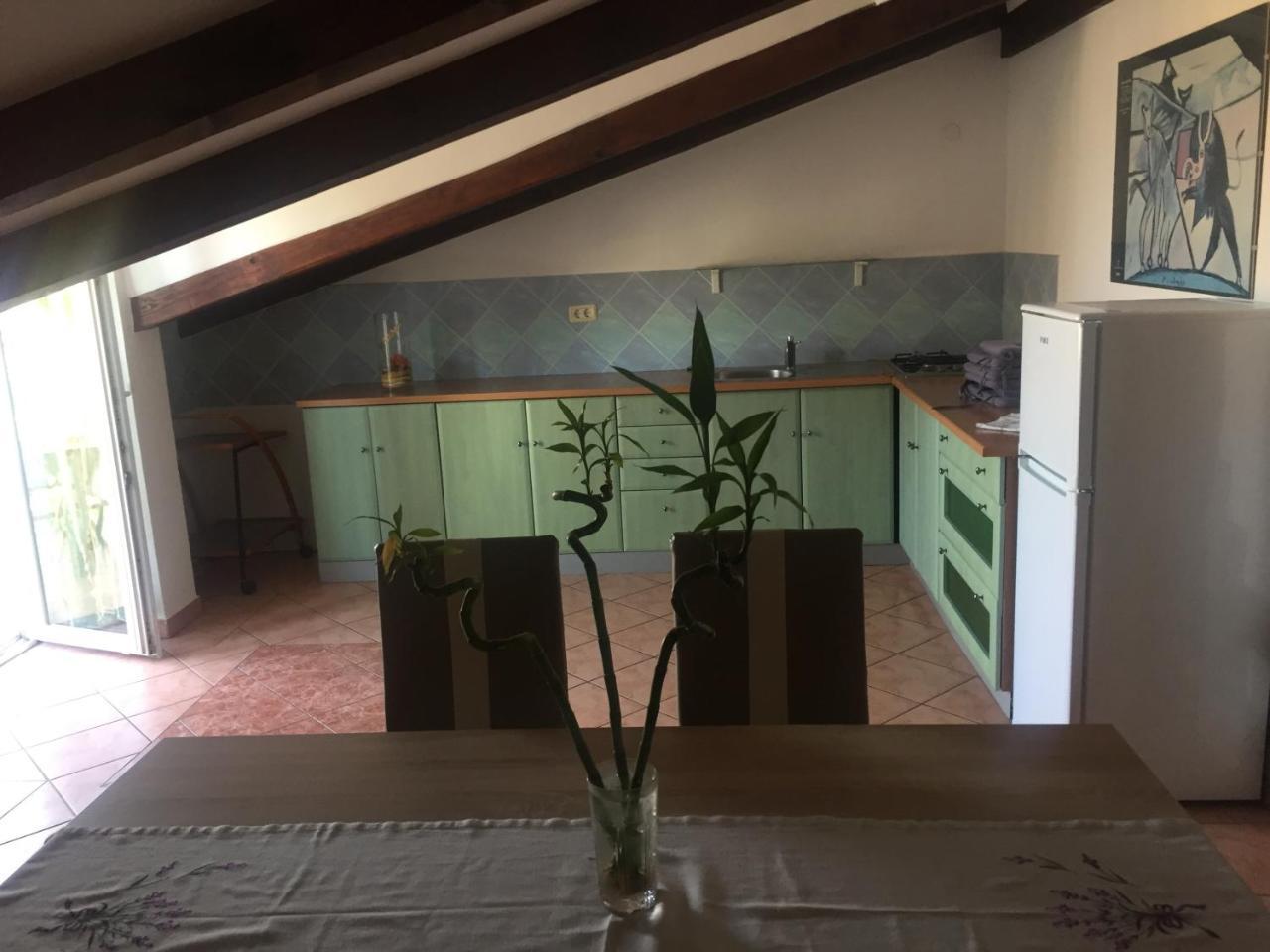 Apartments Tajana Novigrad Istria 外观 照片